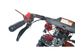 Мотоблок WEIMA WM1100BЕ-6 КМ c DIFF (DELUXE) c электростартером и дифференциалом
